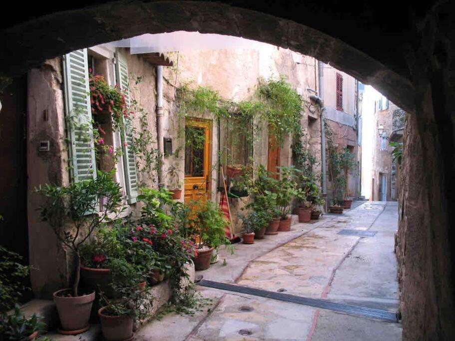 Studio Calme Et Agreable Avec Acces Jardin Partage Le Bar-sur-Loup Luaran gambar